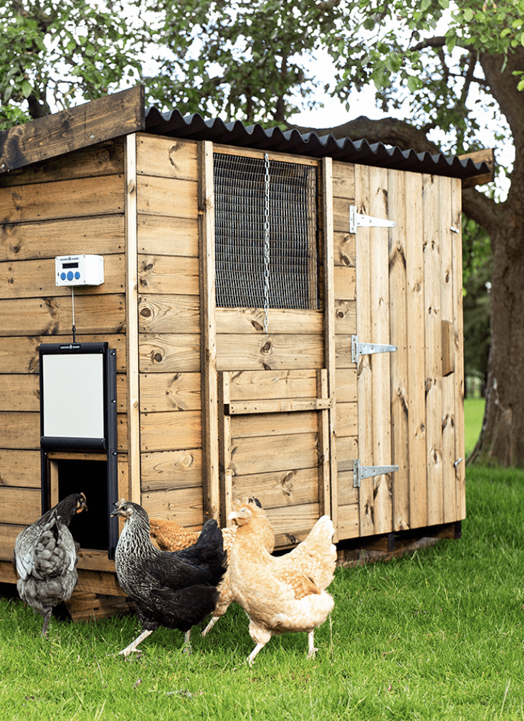 Fligreen chicken shed ideas