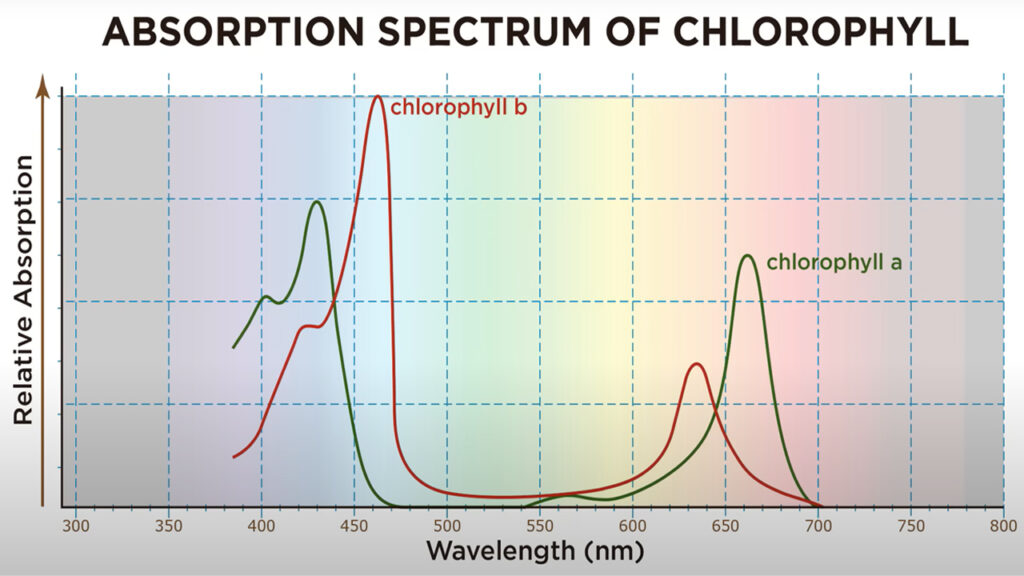 green led wavelength