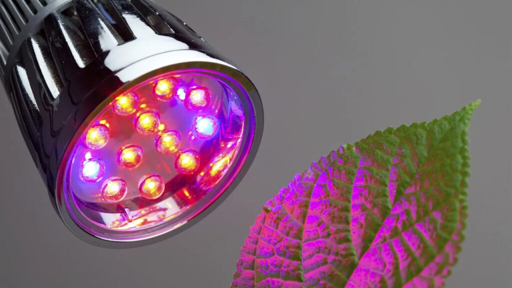 red led for plants growing