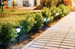 solar lights lifespan