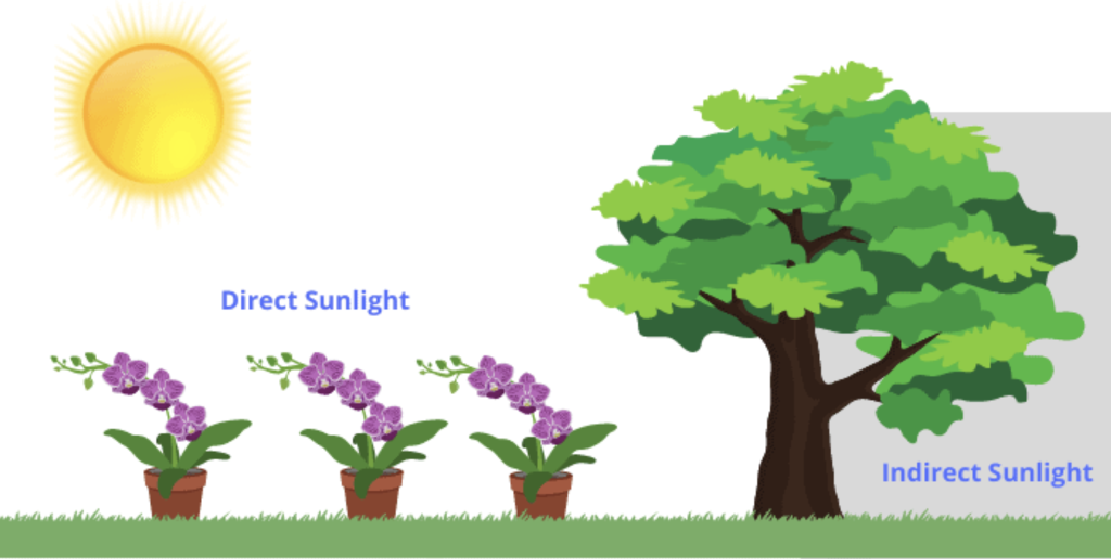 direct sunlight for solar lights